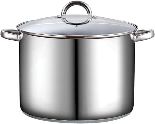 Basics 16 Quart Stainless Steel Stock Pot with Lid, Cooking Pot for Pasta, Soup, Sturdy Handle, Large Stockpot with Even Heating, Oven & Dishwasher Safe, Cookware for Canning, Boiling