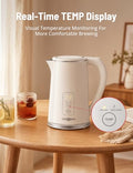 Electric Kettle, 1.7L Stainless Steel with 6 Temperature Presets