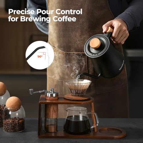 Gooseneck Electric Kettle, 0.9 L Pour Over Kettle with Temperature Control