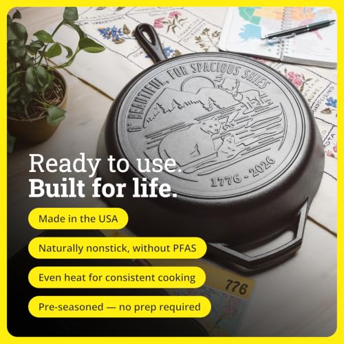 Pre-Seasoned Cast Iron Skillet, 12 Inches, Spacious Skies - view 3
