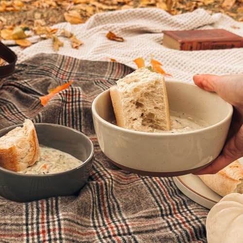 Set of 4 Porcelain Bowls, 25oz - Microwave, Dishwasher & Oven Safe for Soup, Cereal, etc. - view 5