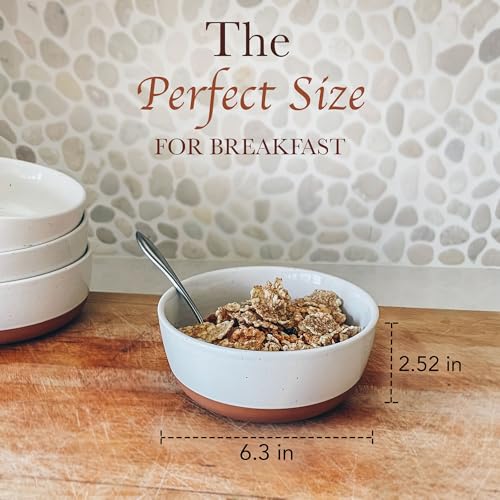 Porcelain Cereal Bowls Set of 4, 25 oz, Lead-Free Glaze