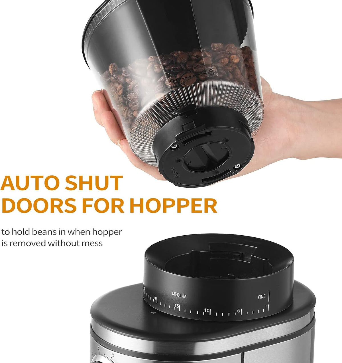 Electric Conical Burr Coffee Grinder, 30 Settings, Stainless Steel Burrs