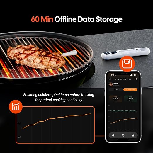 INKBIRD Mini Wireless Meat Thermometer, Bluetooth 5.4,1000ft/305m Ultra Long Connection, 60 Min Offline Data Storage, IP67 Waterproof, White LED Display, Ideal for BBQ, Grill, and Smoker