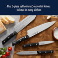 Knife Set 5-Piece Stainless Steel with Chef's, Bread and Paring Knives