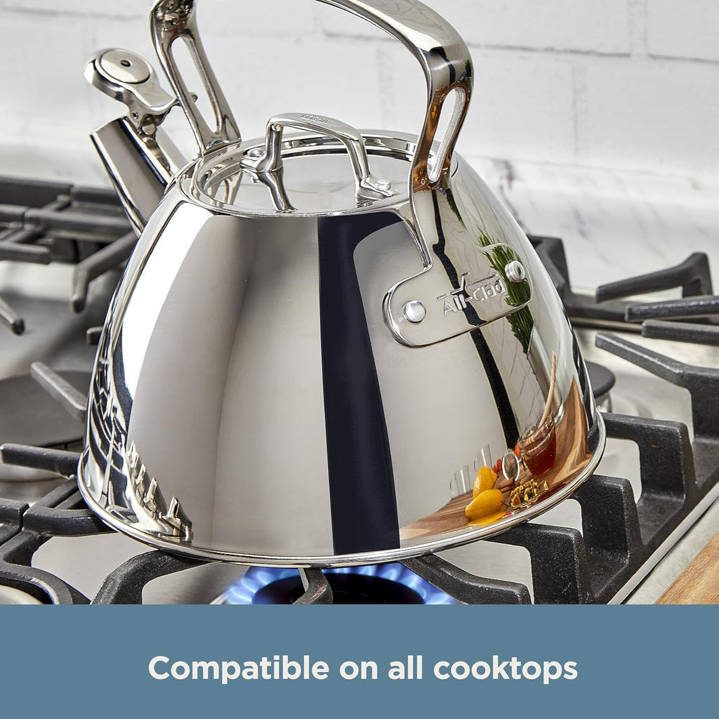 Stainless Steel 2 Qt Stovetop Tea Kettle – features